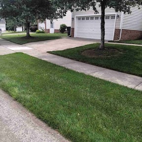 landscape maintenance by Wadeservices reviewed on August 15, 2025