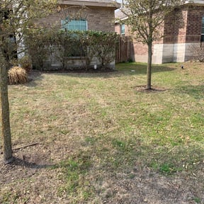 Bush Trimming by Jay's Landscaping reviewed on November 23, 2025