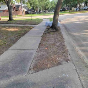 Leaf Removal by Quicklinellc reviewed on September 10, 2025