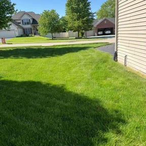 yard care by JB Mowing reviewed on August 15, 2025