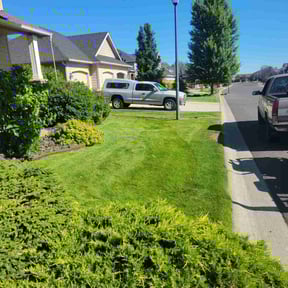 yard maintenance by Select Cuts Premium Lawn Care reviewed on August 19, 2025