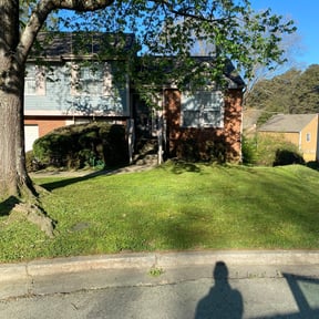 Leaf Removal by CP Lawn Care reviewed on September 14, 2025