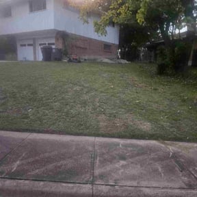 Leaf Removal by Polished detail reviewed on September 24, 2025