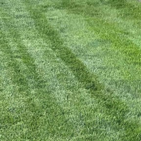 lawn care services by JL Land Maintenance reviewed on April 13, 2025