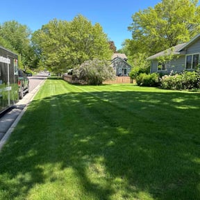 yard work by Yanez Brothers Landscaping reviewed on August 17, 2025