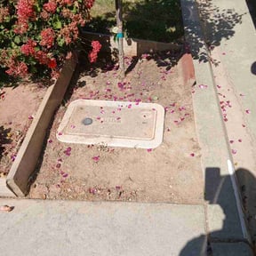 Flower Bed Weeding by Perfect Lawn Care reviewed on June 7, 2026