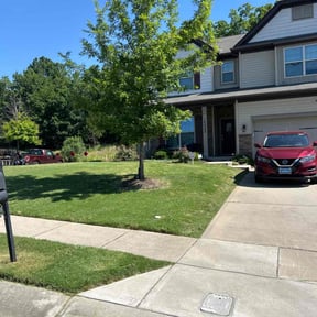 yard care by Tony's lawn services/Plowing reviewed on August 17, 2025