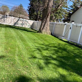 turf care by Keep It Green reviewed on June 7, 2025