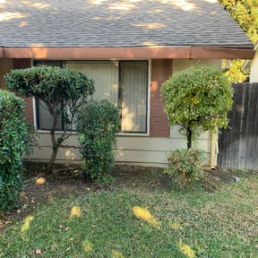 Bush Trimming by C&M Lawn Care Services reviewed on August 16, 2025