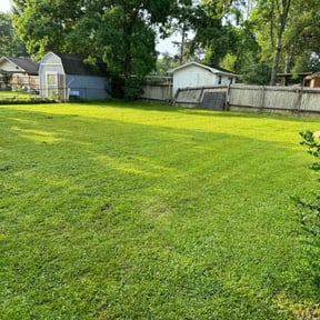 yard care by WINNERS CIRCLE LAWN CARE LLC. reviewed on December 3, 2025