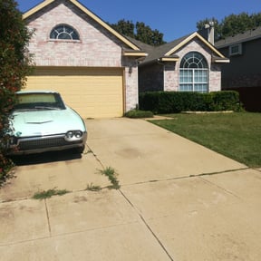 Bush Trimming by Abney's lawncare reviewed on August 15, 2025