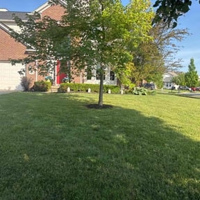 yard care by Stephens Lawn Care reviewed on August 16, 2025