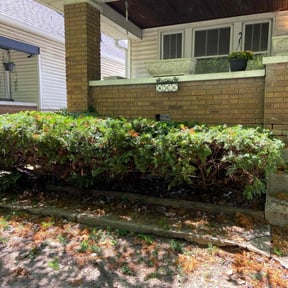 Bush Trimming by 3B Landscaping. reviewed on August 15, 2025