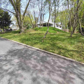 Leaf Removal by Wefixguru Home Improvement Services reviewed on April 23, 2026