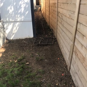 Leaf Removal by Cut-n-Go  lawn maintenance reviewed on September 18, 2025