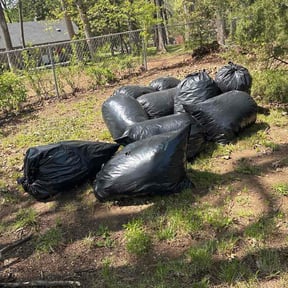 Leaf Removal by Maximum cuts reviewed on April 16, 2026