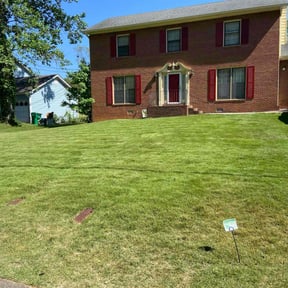 landscaping by JMG Lawn Care reviewed on November 19, 2025