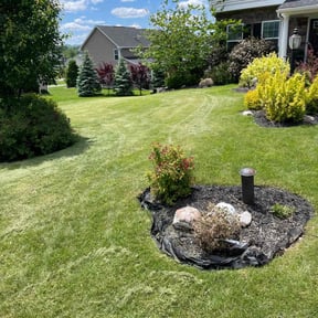 landscape maintenance by Atlas Landscape Design reviewed on August 21, 2025