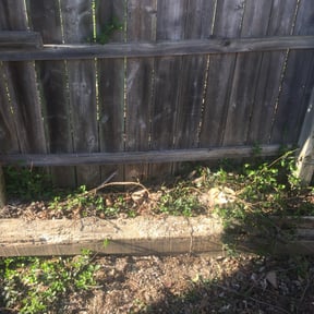 Bush Trimming by Padilla Lawn Care and Landscaping reviewed on August 19, 2025