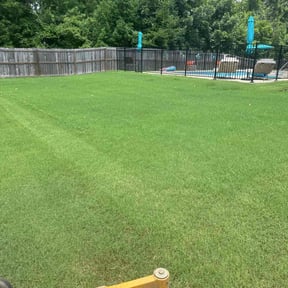 landscaping by Diverse Capital Fence and Lawn Services reviewed on November 24, 2025