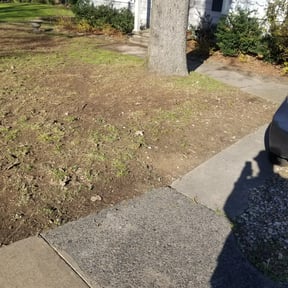 Leaf Removal by Ethan&#039;s Lawn Care reviewed on September 22, 2025