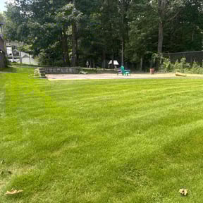 yard care by Adams Paiz reviewed on November 24, 2025