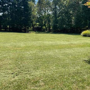 grass cutting by Royal Scenery LLC reviewed on May 20, 2024
