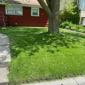 yard maintenance by Just us landscaping LLC reviewed on August 19, 2025