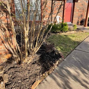 Leaf Removal by Joe 2 Mow LawnCare reviewed on September 26, 2025