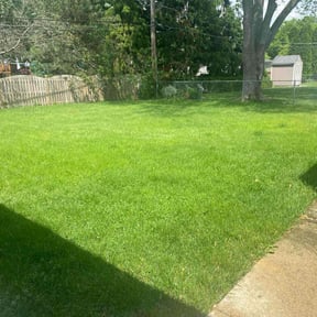 landscaping services by Trusted Trims, Lawn Maintenance Professional reviewed on August 15, 2025