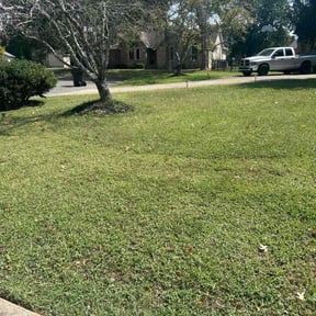 Leaf Removal by Okie Lawn and Landscape reviewed on September 30, 2025