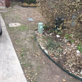 Leaf Removal by Millennium_11 Services reviewed on September 11, 2025