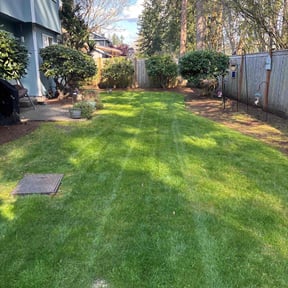 lawn care by P&R Lawn care reviewed on August 16, 2025