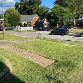 landscaping by Cincy Snipps reviewed on August 15, 2025