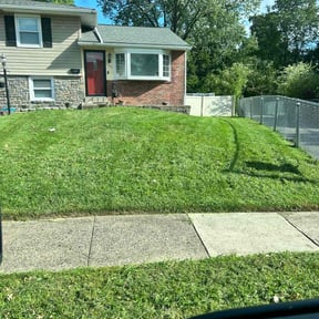 lawn service by Gregory's lawn reviewed on April 29, 2024