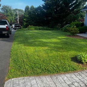 yard service by Crl Inc. reviewed on August 18, 2025