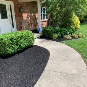 Bush Trimming by Verns Lawncare LLC reviewed on August 15, 2025