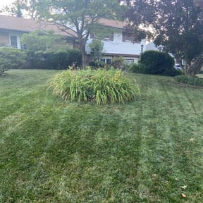 landscaping by MowBetter reviewed on August 19, 2025