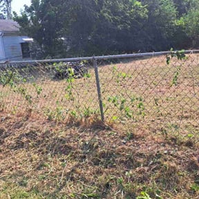 Bush Trimming by 3B Landscaping. reviewed on October 19, 2025