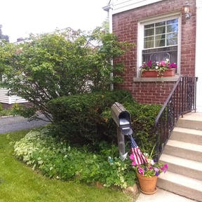 Bush Trimming by DOGO YARDSCAPES reviewed on August 17, 2025