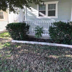 Bush Trimming by Austin Joe's Lawn Company reviewed on August 15, 2025