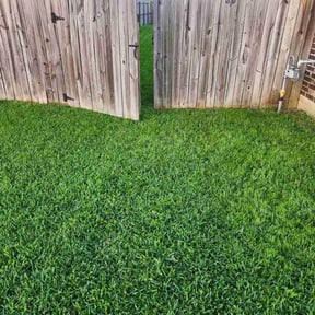 lawn care services by New Heights LawnCare reviewed on October 8, 2024