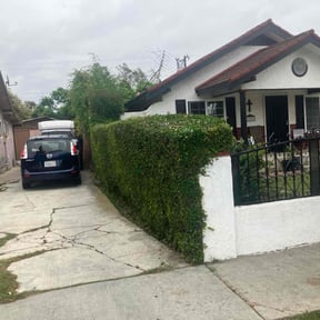 Bush Trimming by Amby's Lawn Service reviewed on August 18, 2025