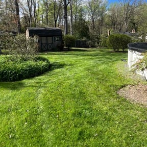 landscaping services by Elite Landscaping reviewed on December 25, 2025