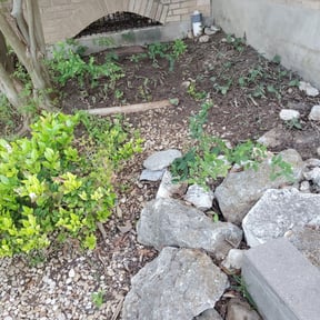 Leaf Removal by LOUS LAWN CUTS reviewed on September 29, 2025