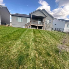 yard service by J C Enterprises  reviewed on May 28, 2025