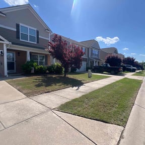 lawn care by No Time Wasted reviewed on August 16, 2025