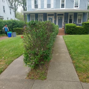Bush Trimming by Genesis One Lawn and Tree Service reviewed on August 16, 2025
