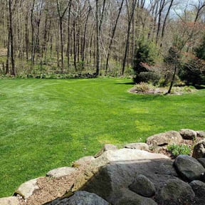 yard care by Four Seasons Maintenance LLC reviewed on August 15, 2025
