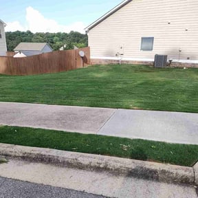 lawn care services by Gospel Greens reviewed on April 23, 2024